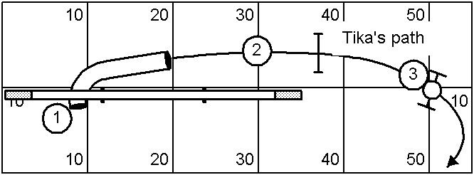 course map for Saturday's advanced standard (detail)