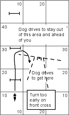 teaching dog to drive into no-go zone