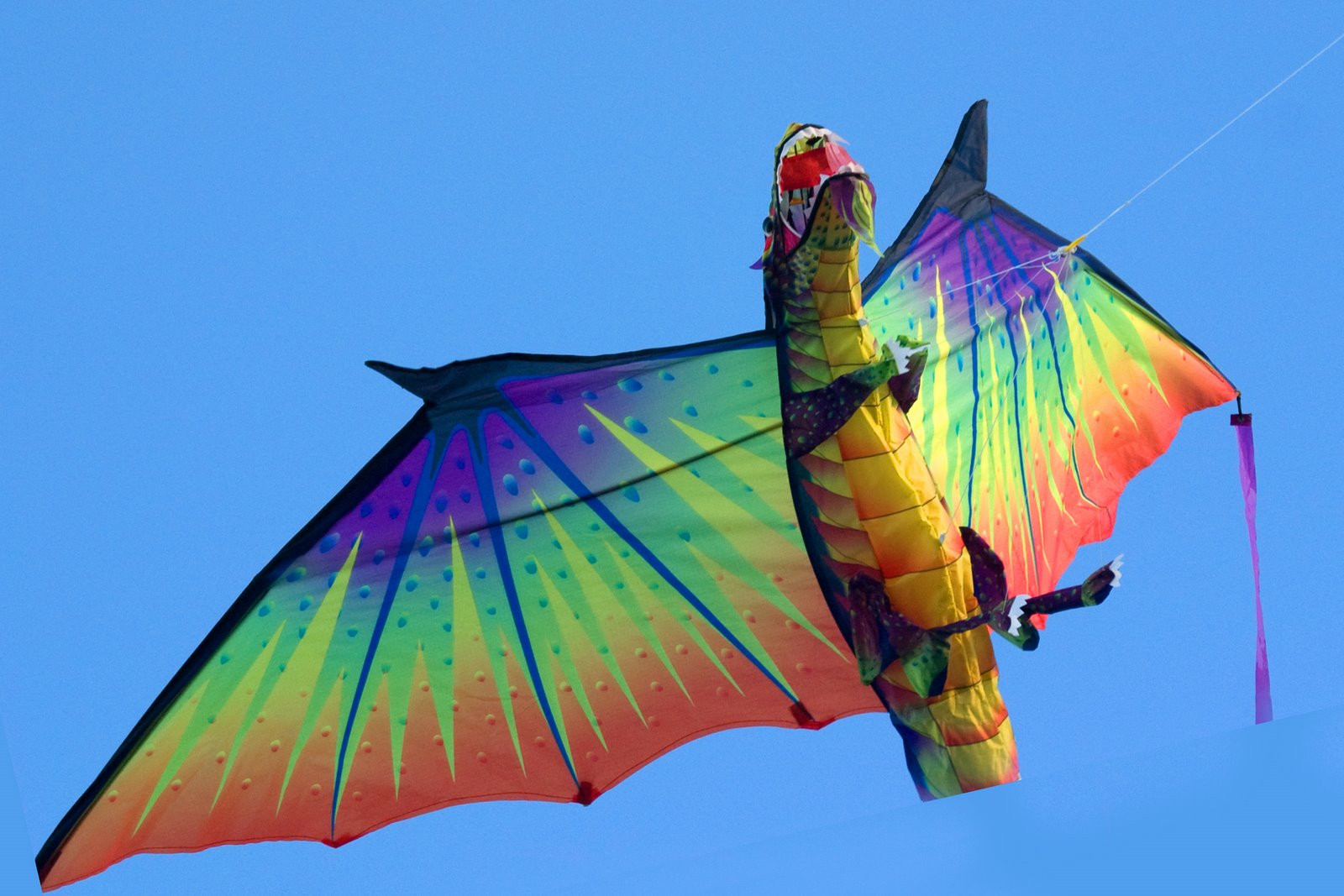 Kite Dragon