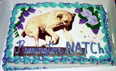 NATCH cake