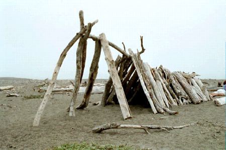 beach structure